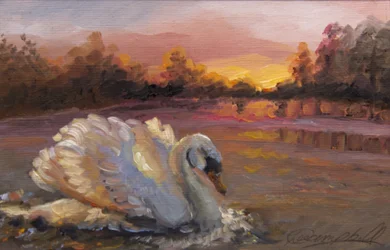 Swan at Sunrise, 2016