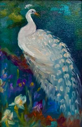 White Peacock, 2025
