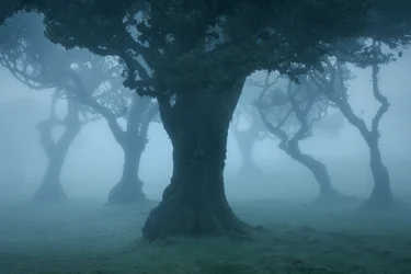 Ancient Order II