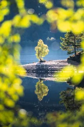 Druid’s Rest II