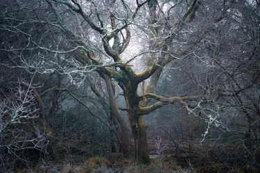 Roots of Time