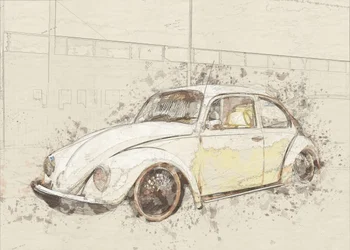 Classic Beetle Sketch