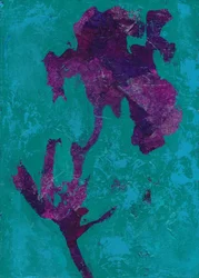 Abstract Purple Iris