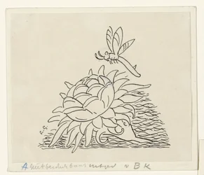 Flower with a Dragonfly
