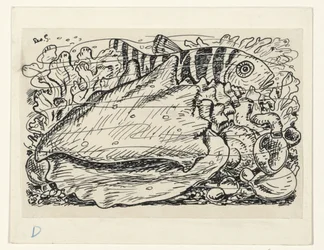 Fish and Shell in the Water