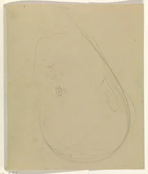 Contours of a Head
