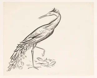 Heron by the Water with Two Fish at Its Feet