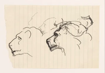 Study Sheet with Lion Heads