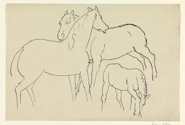 Two Horses and a Foal