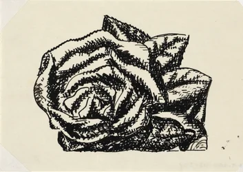 Untitled (Rose)