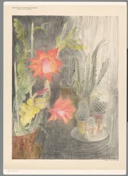 Pots with Cacti and Flowering Plant
