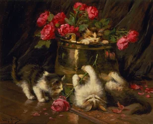 Playful Kittens
