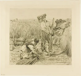 Harvest