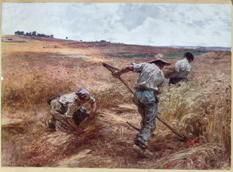Harvesting Scene, 1897