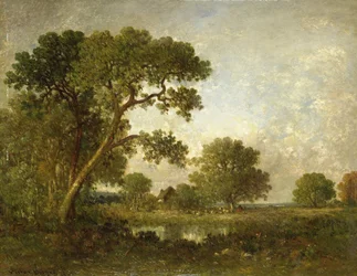 Landscape