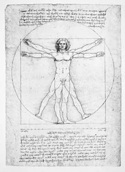 The Proportions of the human figure (after Vitruvius), c.1492