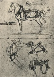 A Harnessed Cart-Horse and Studies of Harness