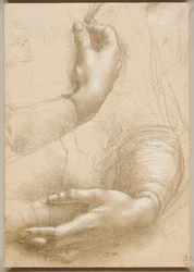 Arms and Female Hands