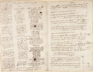 Short Texts of Leonardo