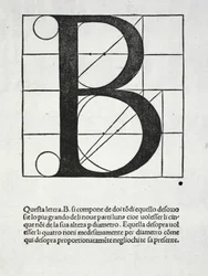 B