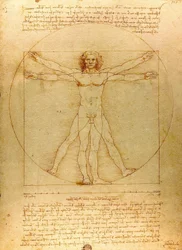 Vitruvian Man