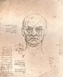Drawing illustrating the theory of the proportions in the human figure