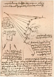 Drawing of a male head, illustrating the practice of painting, c1472-c1519