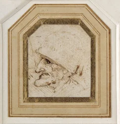Grotesque Head