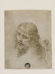 Head of Christ Crowned with Thorns