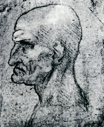 Head of an Old Man, 1913