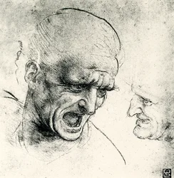 Head Studies