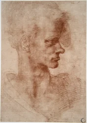 Caricature portrait of a young man