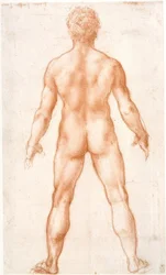 Male Nude from the Back
