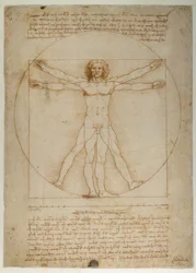Proportional Scheme of the Human Figure According to Vitruvius