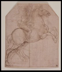 Rider on Rearing Horse