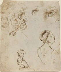Sheet of Studies