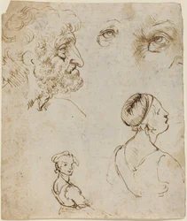 Sheet of Studies