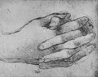 Study of Clasped Hands