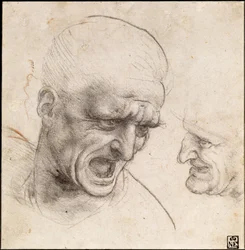 Study of Two Warriors
