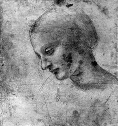 Study of the head of the Madonna, 15th century