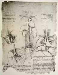 The Heart and the Circulation, facsimile of the Windsor book