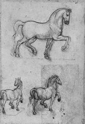 Three Studies of Horses, c1480 1945