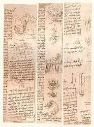 Three drawings, c1472-c1519