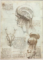Unknown Image