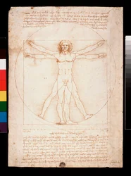Vitruvian Man