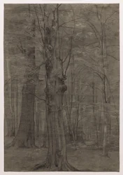 Trees
