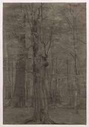 Trees