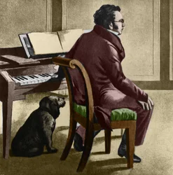 Portrait of the Austrian Composer Franz Schubert