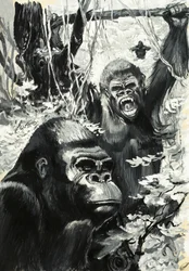 Gorillas