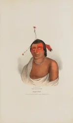 PE-A-JICK; A Chippewa Chief, from The Aboriginal Portfolio